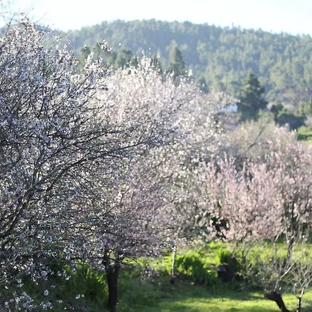 Casa Micaela Σπίτι διακοπών Garafía