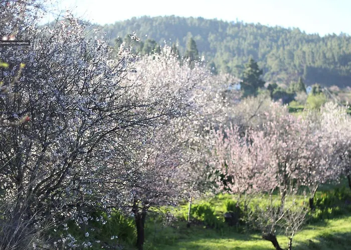 Casa Micaela Casa de Férias Garafía